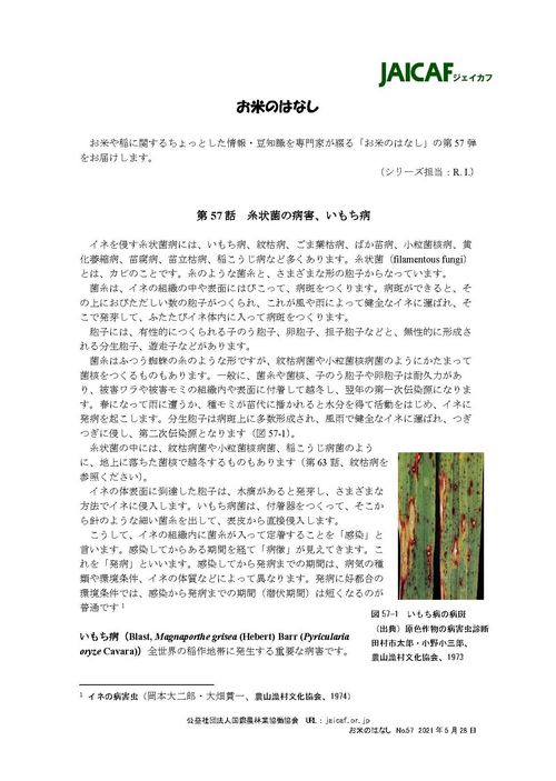 水稲新品種「空育195号」 - アグリポートWeb